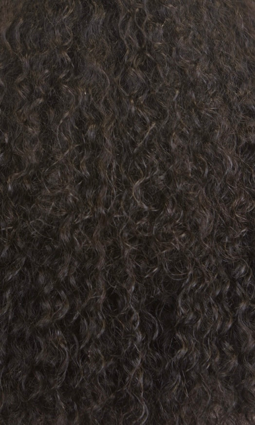 Raw Loose Curly Invisible Seamless Clip-ins